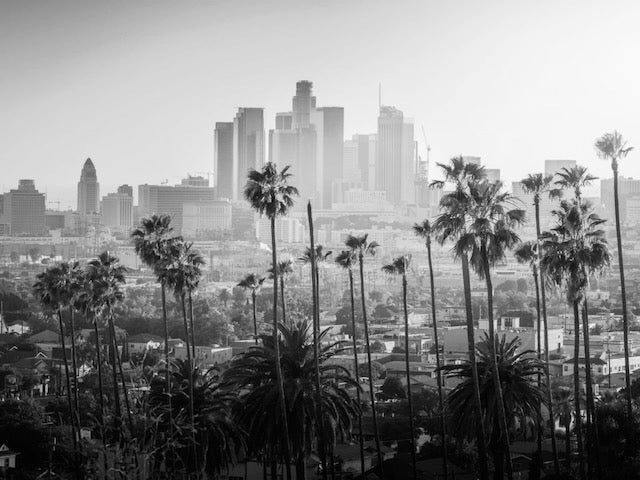 tomicic's pressure washing downtown la office